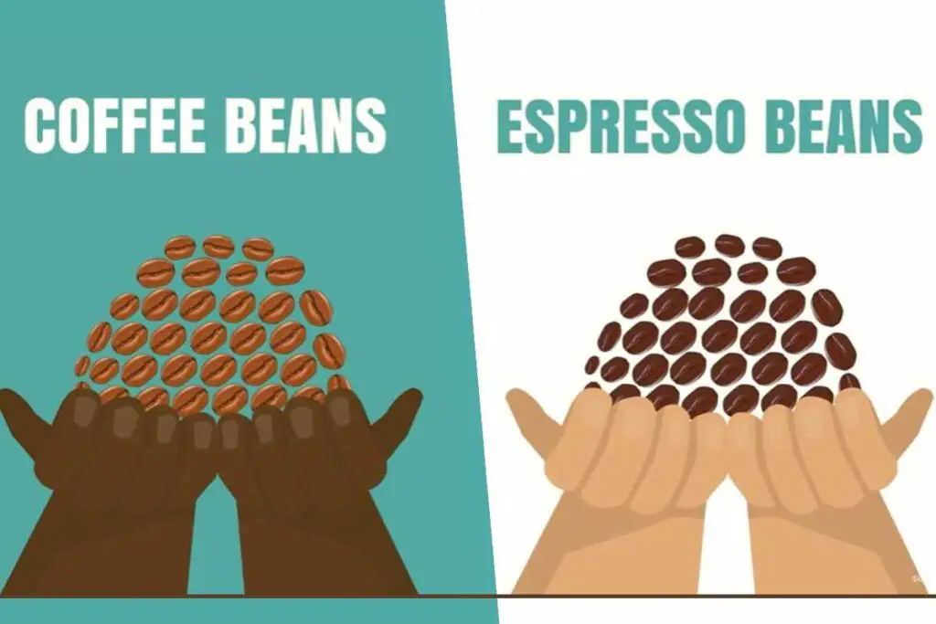 Are Coffee Beans the Same As Espresso Beans