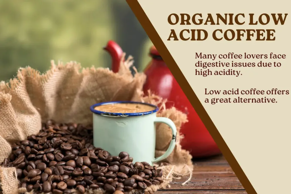 Best Organic Low Acid Coffee