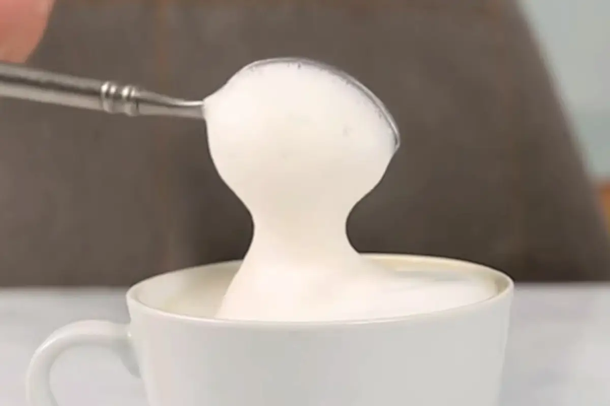 Milk Frother 