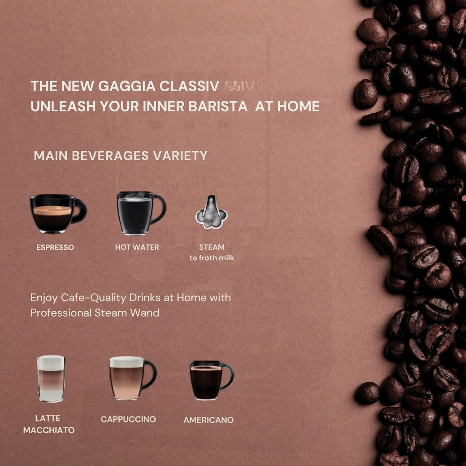 beverage varietys for Gaggia 