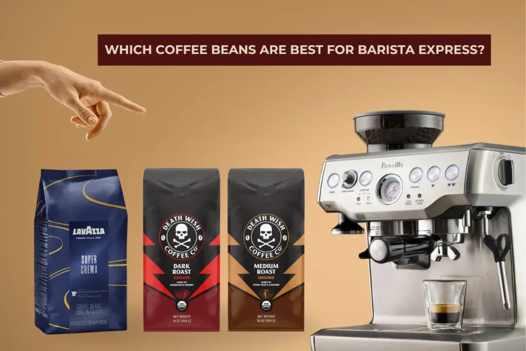 Best Coffee Beans for Breville Barista Express