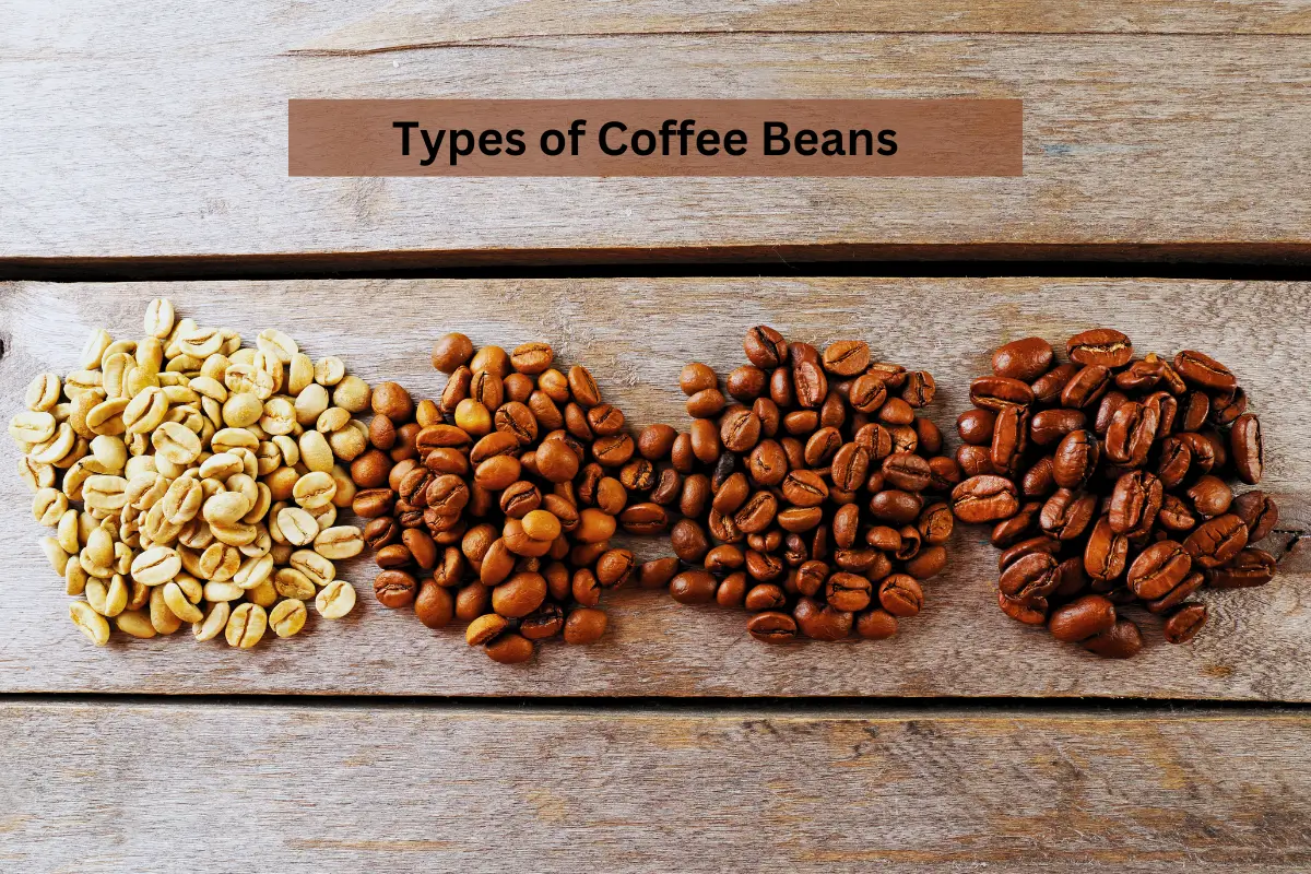 Types Of coffee Beans