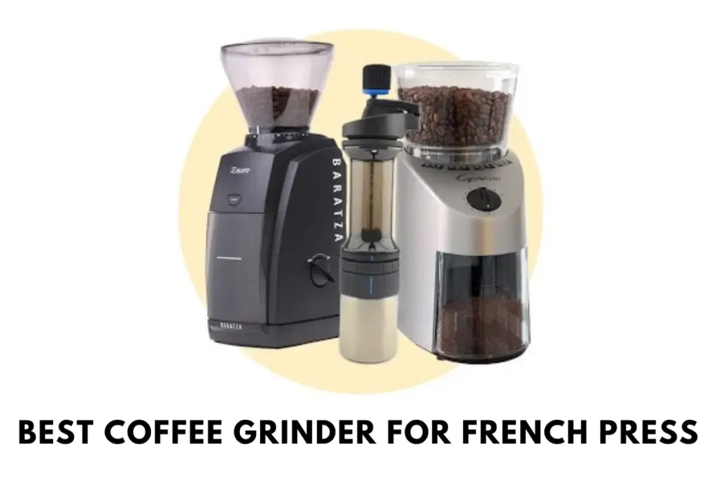 Best Coffee Grinder for French Press