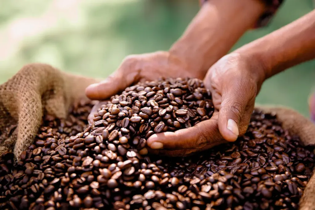 Best Coffee in the World