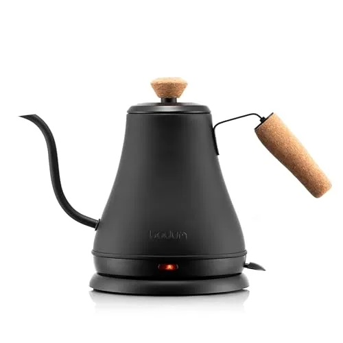 Best Gooseneck Electric Kettle