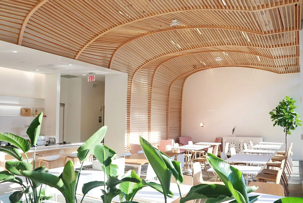 Best Coffee Shops in Raleigh
